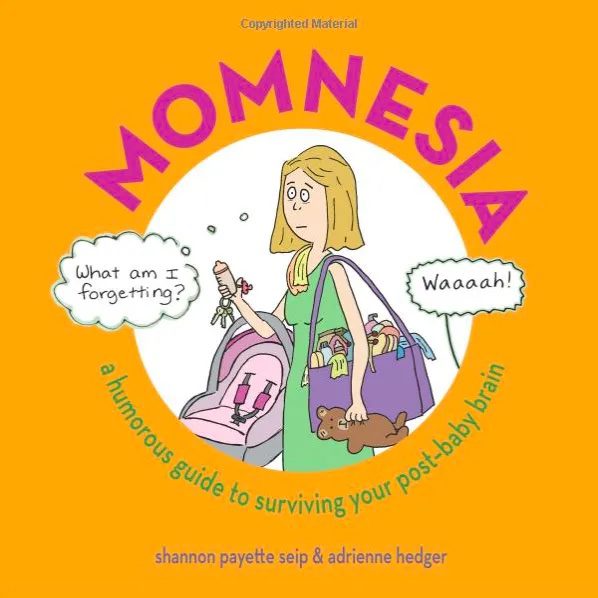 Momnesia: A Humorous Guide to Surviving Your Post-Baby Brain
