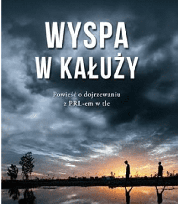 The Island in the Puddle (Wyspa w kałuży)